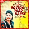 About Rovega Yaad Karke Song